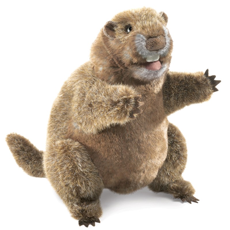 gus the groundhog stuffed animal