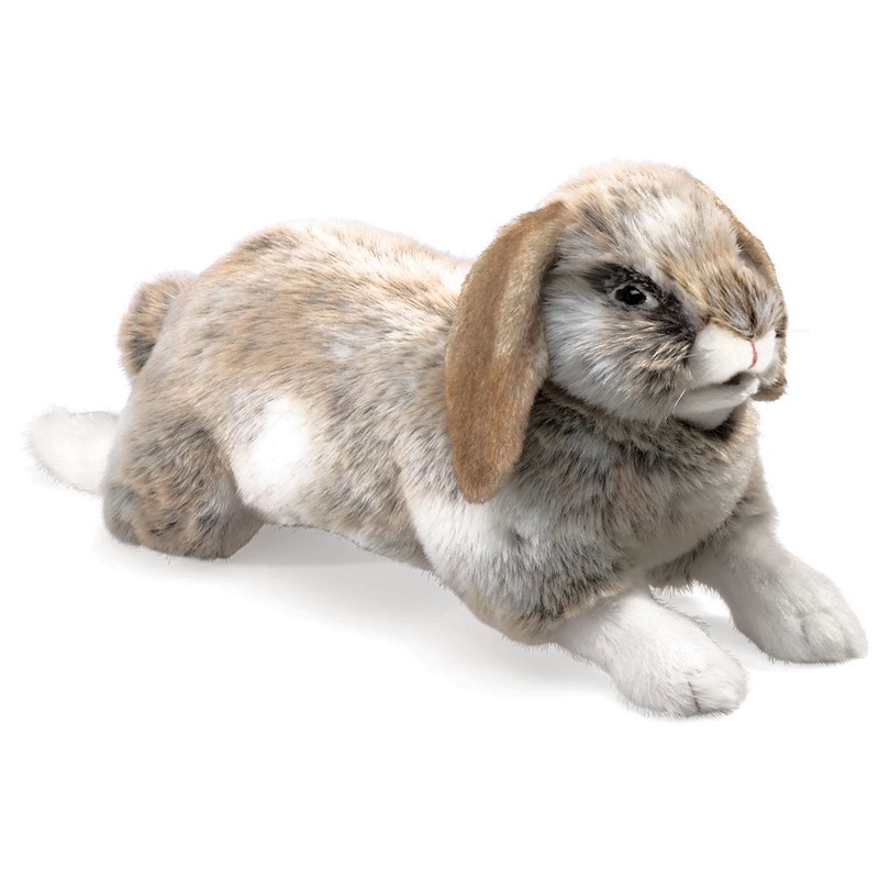 Folkmanis Rabbit, Holland Lop 2892