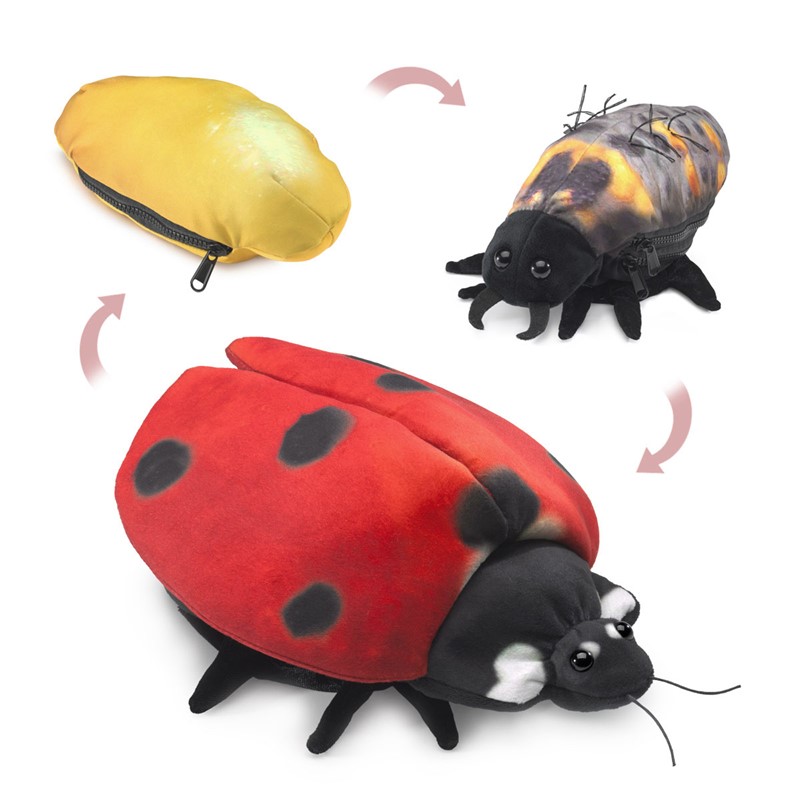 Folkmanis Ladybug Life Cycle 3148